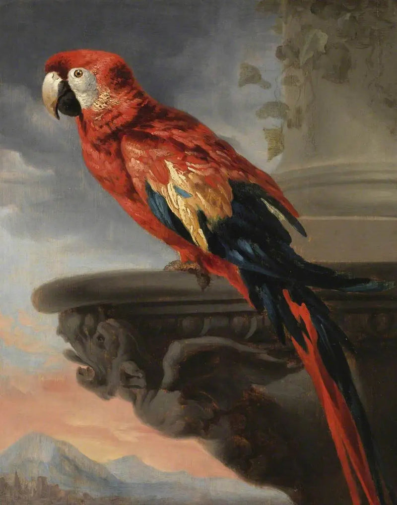 Papuga - Peter Paul Rubens