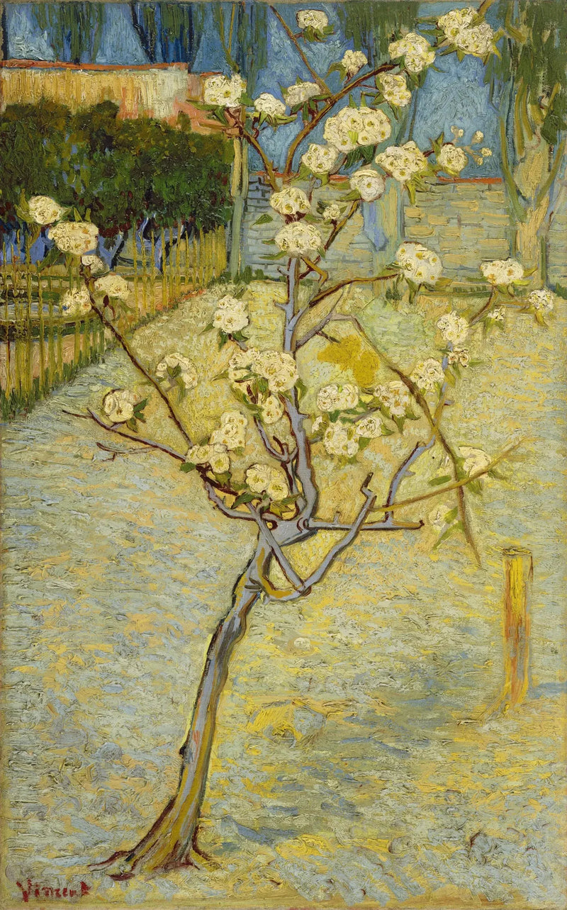 Mała grusza w kwiatach - Vincent van Gogh