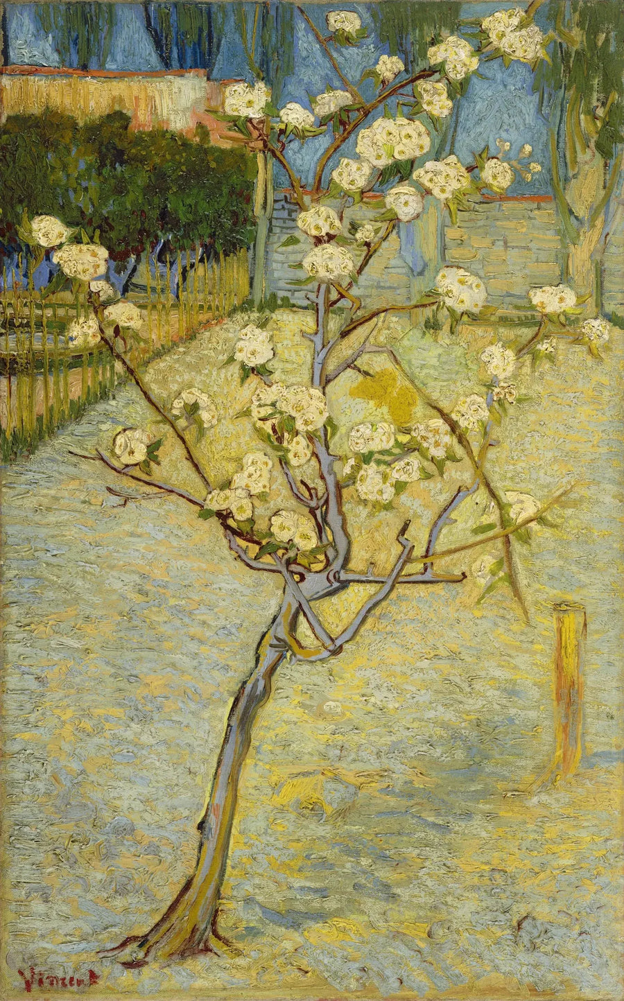 Mała grusza w kwiatach - Vincent van Gogh