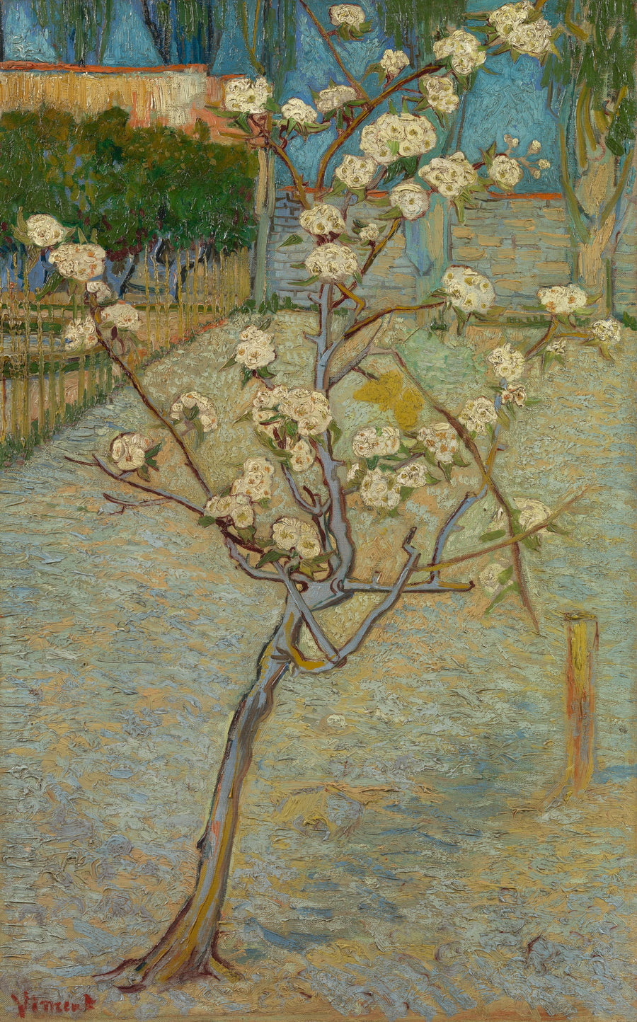 Mała grusza w kwiatach - Vincent van Gogh