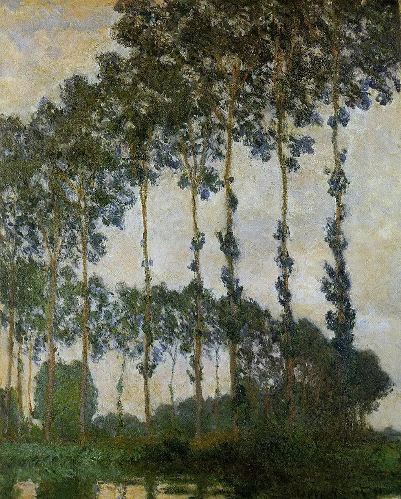 Topole w pobliżu Giverny, pochmurna pogoda - Claude Monet