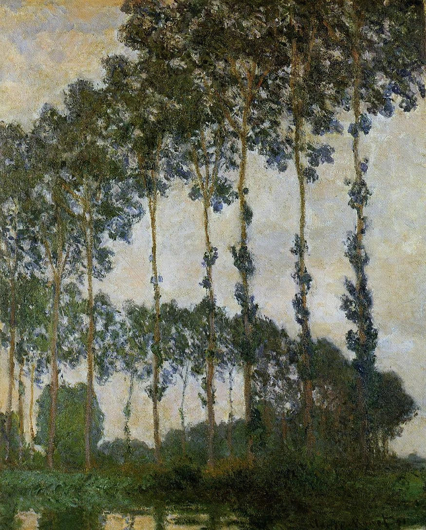 Topole w pobliżu Giverny, pochmurna pogoda W1291 - Claude Monet
