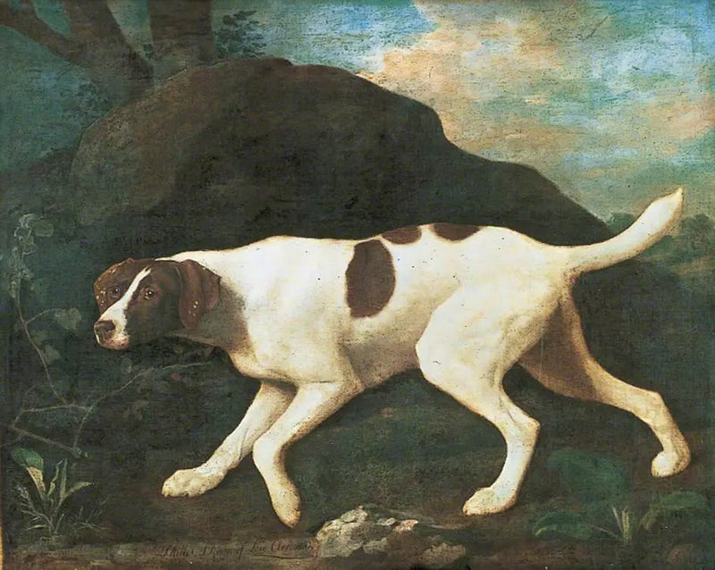 Phillis', wskaźnik Lorda Clermont - George Stubbs