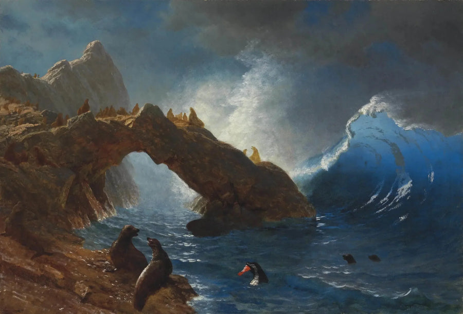 Foki na skałach - Albert Bierstadt
