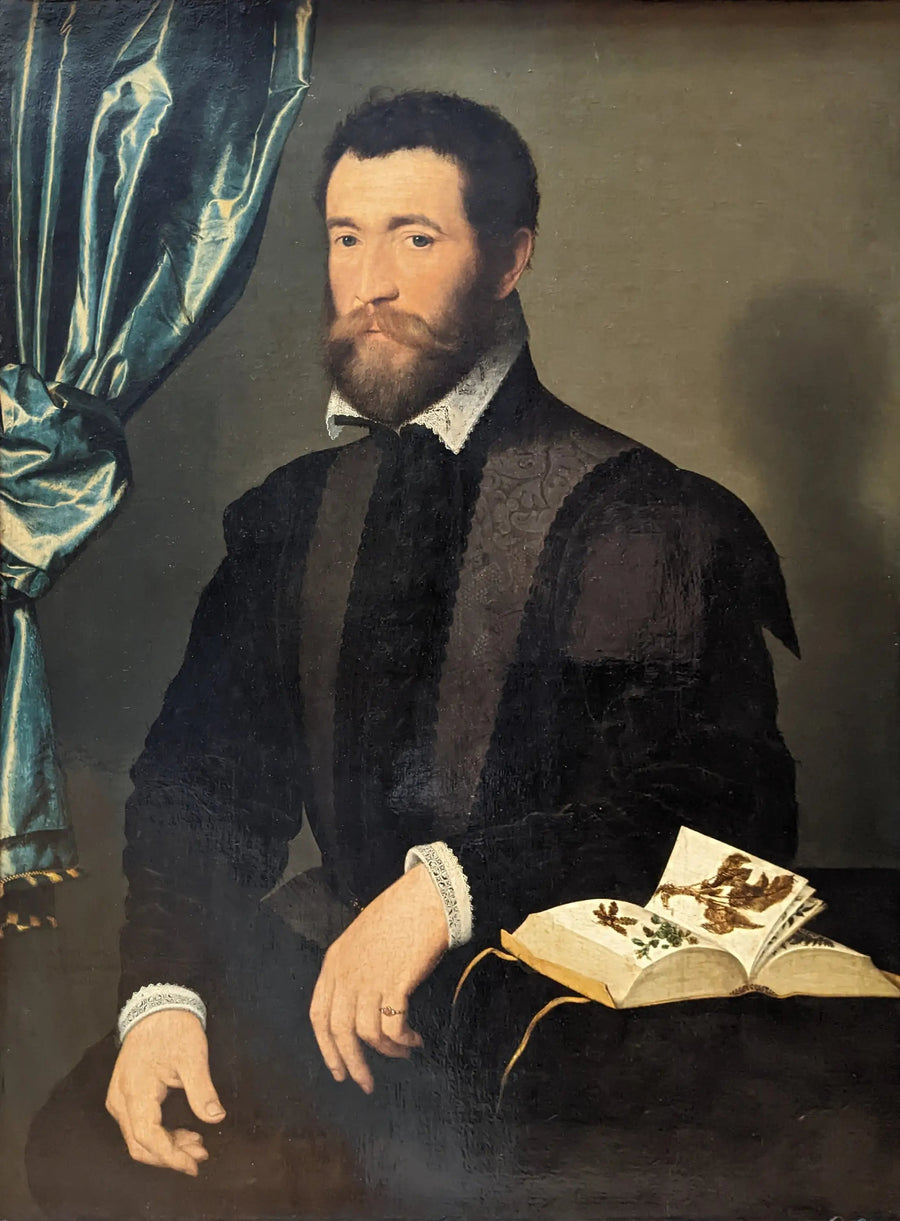 Pierre Quthe, aptekarz - François Clouet