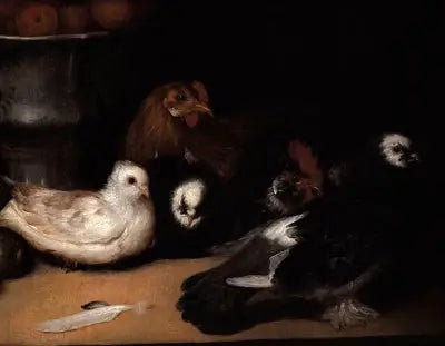 Gołębie i ptactwo - Francisco de Goya