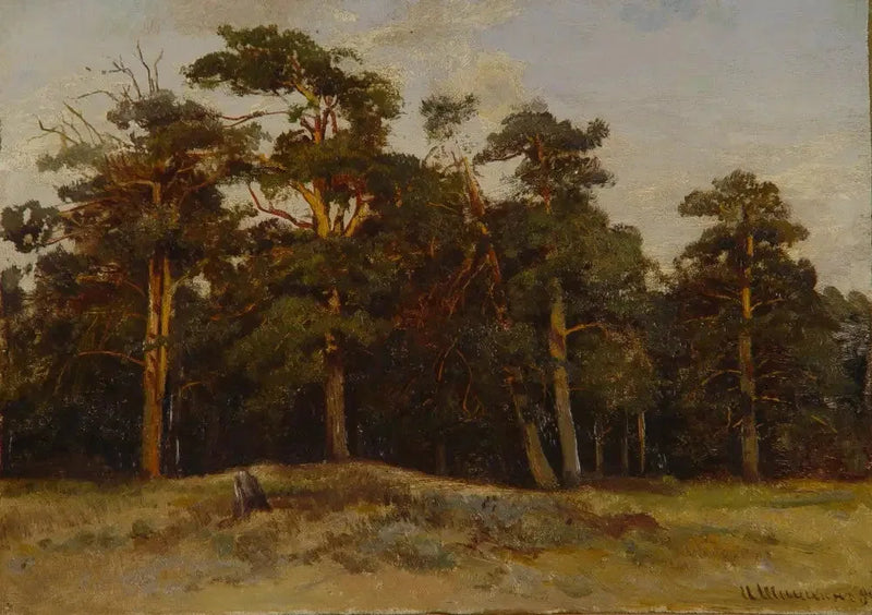 Szpilki - Ivan Chichkine