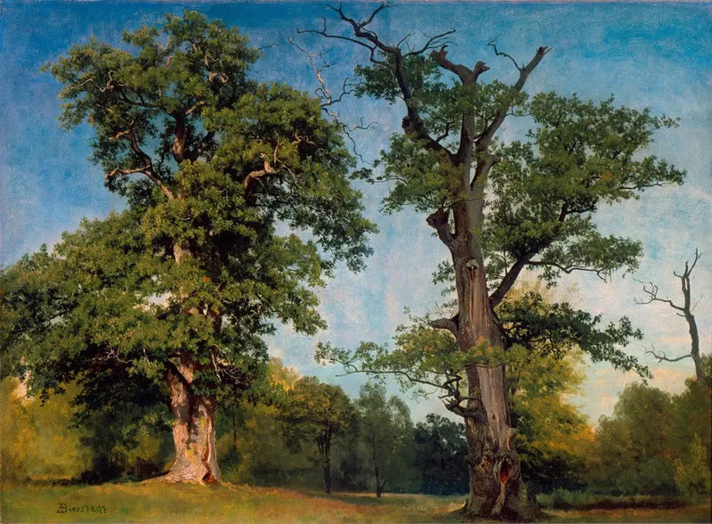 Pionierzy lasów, Kalifornia - Albert Bierstadt