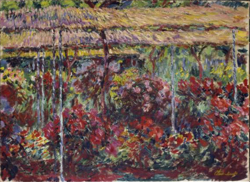 Piwonie W1141 - Claude Monet