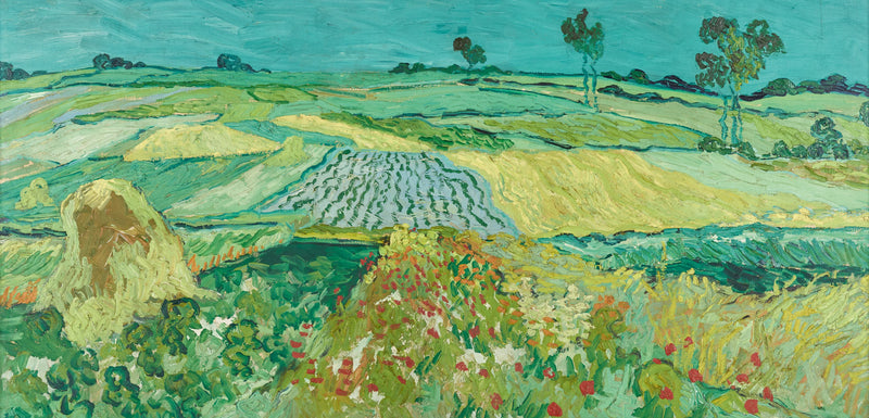 Równina Auvers - Vincent van Gogh