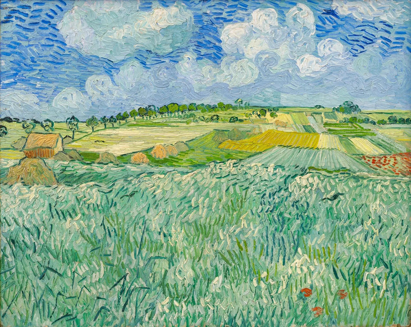 Równina w pobliżu Auvers - Vincent van Gogh