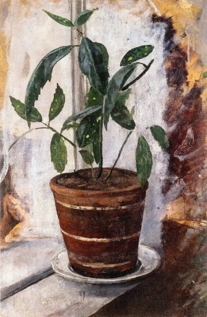 Roślina w doniczce na parapecie - Edvard Munch