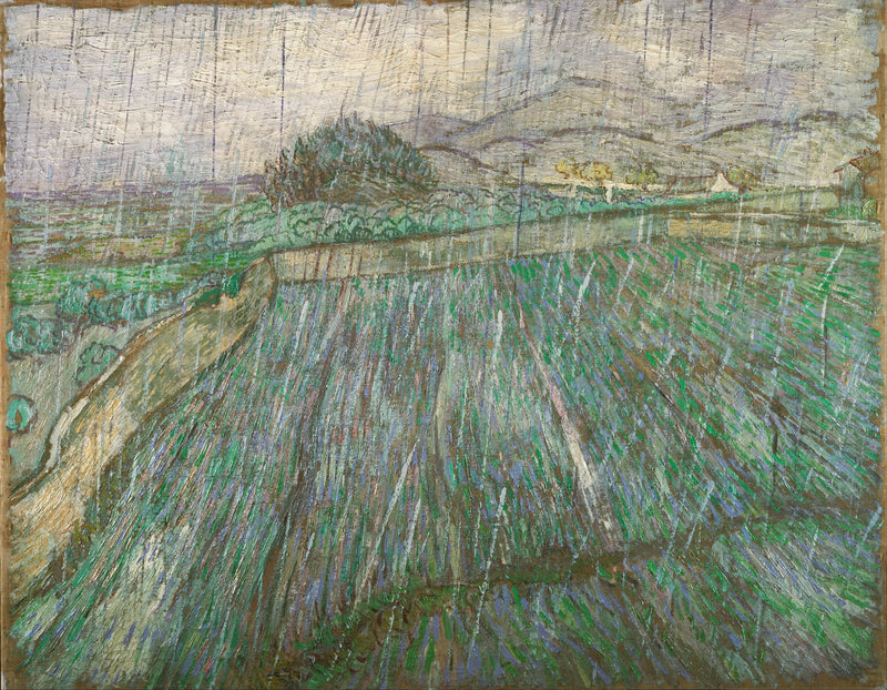 Mokrą łąkę w deszczu - Vincent van Gogh