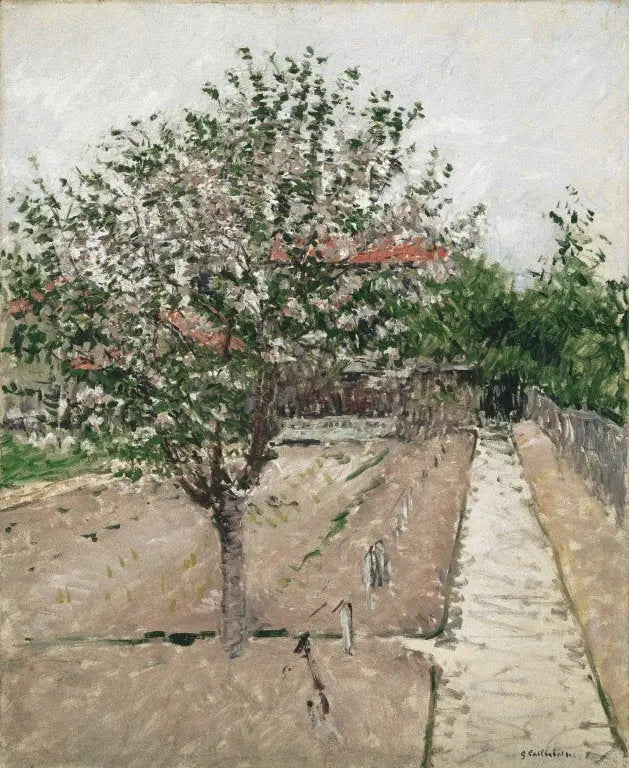 Kwitnąca jabłoń - Gustave Caillebotte