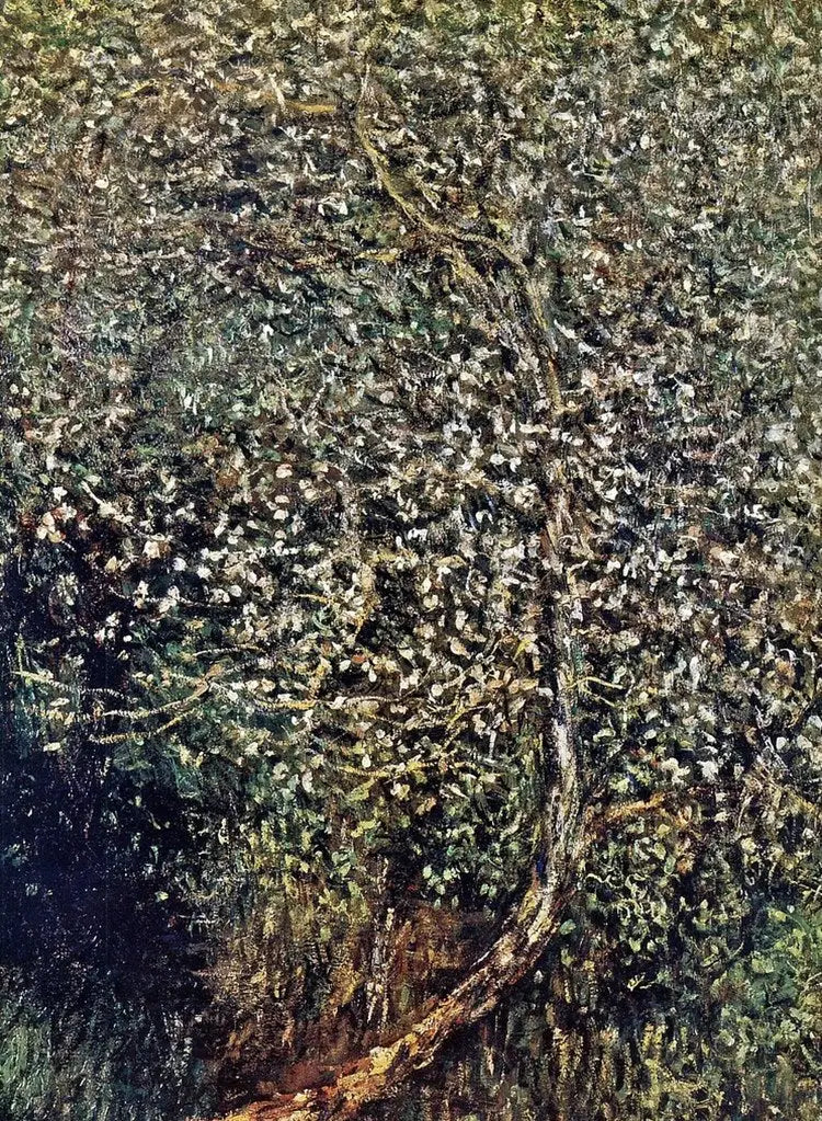 Jabłonie kwitnące nad wodą - Claude Monet