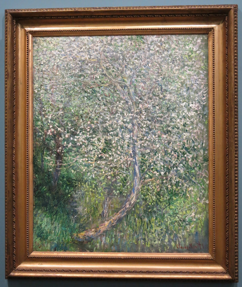 Jabłoń w rozkwicie nad wodą W585 - Claude Monet