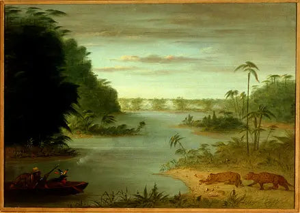 Most Palmiers i Strzał w Tygrysa - George Catlin