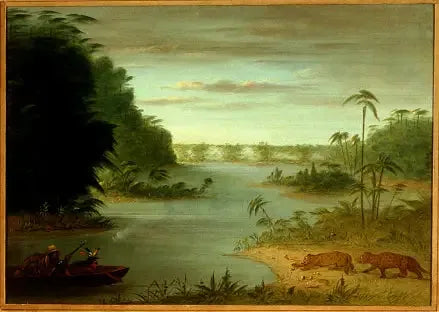 Most Palmiers i Strzał w Tygrysa - George Catlin