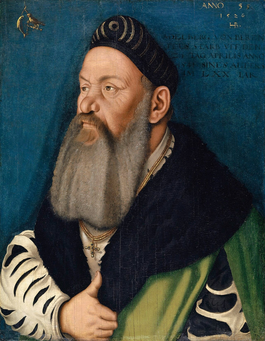 Portret Adelberg III. de Bärenfels - Hans Baldung Grien