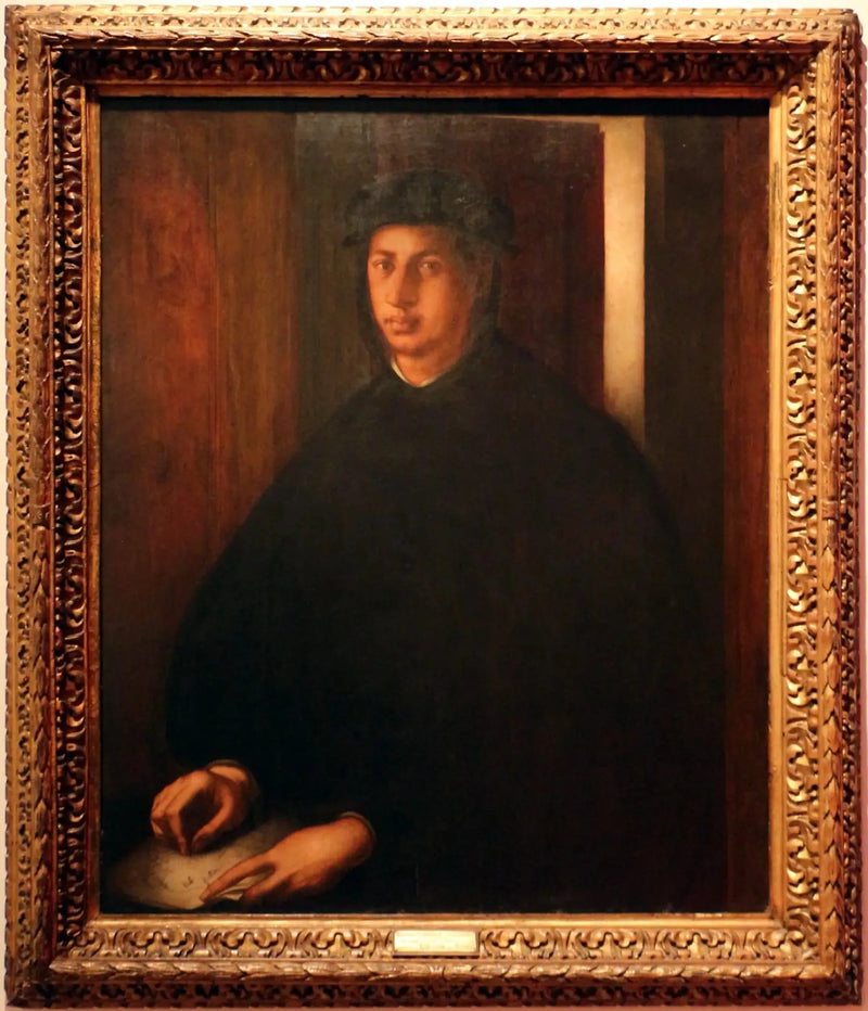 Portret Aleksandra de Médicis - Pontormo