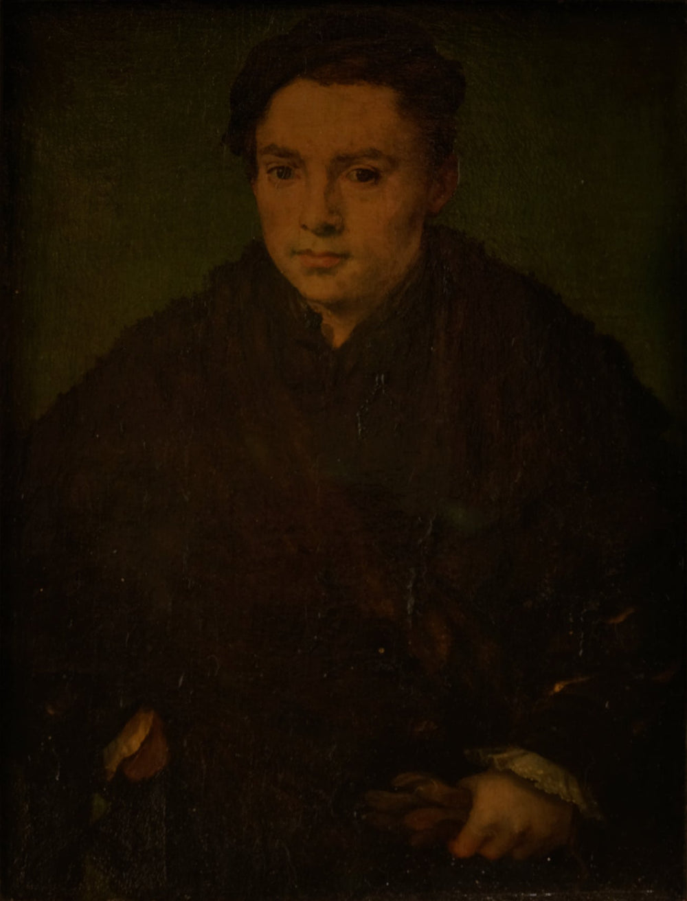 Portrait d'homme - Corneille de Lyon image 1 copie peinte à la main à l’huile