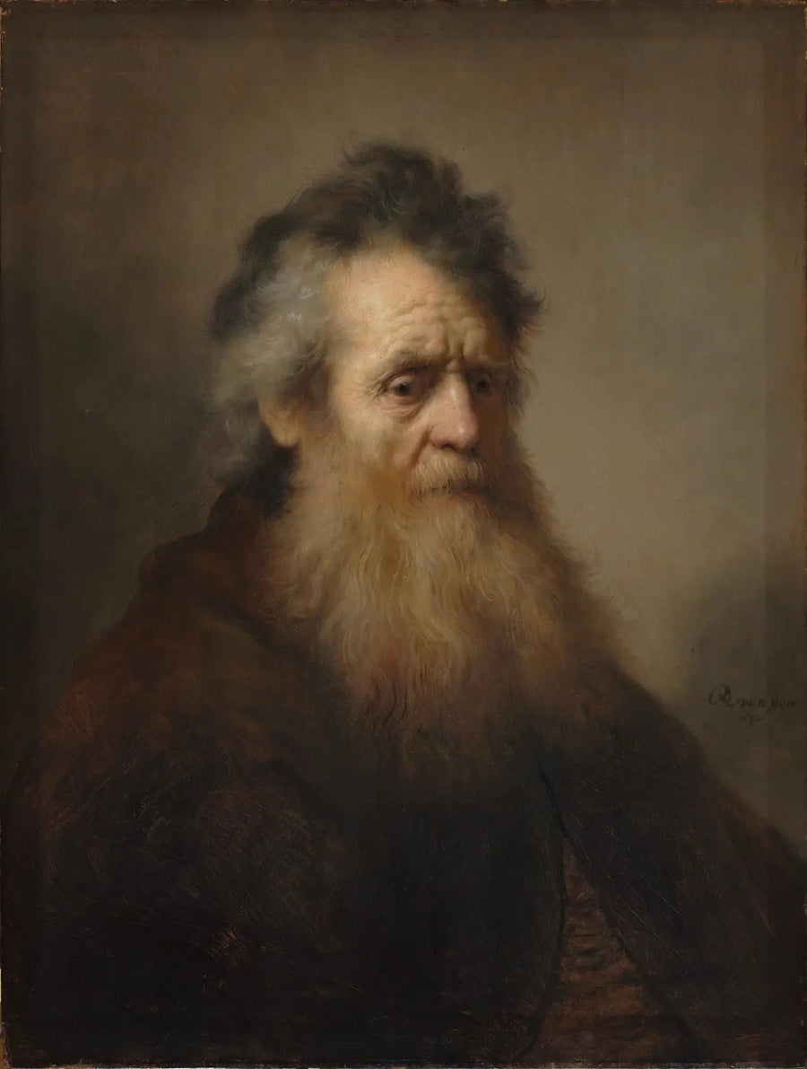 Portret starszego mężczyzny - Rembrandt