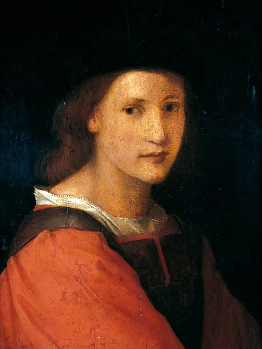 Portret młodego - Andrea del Sarto