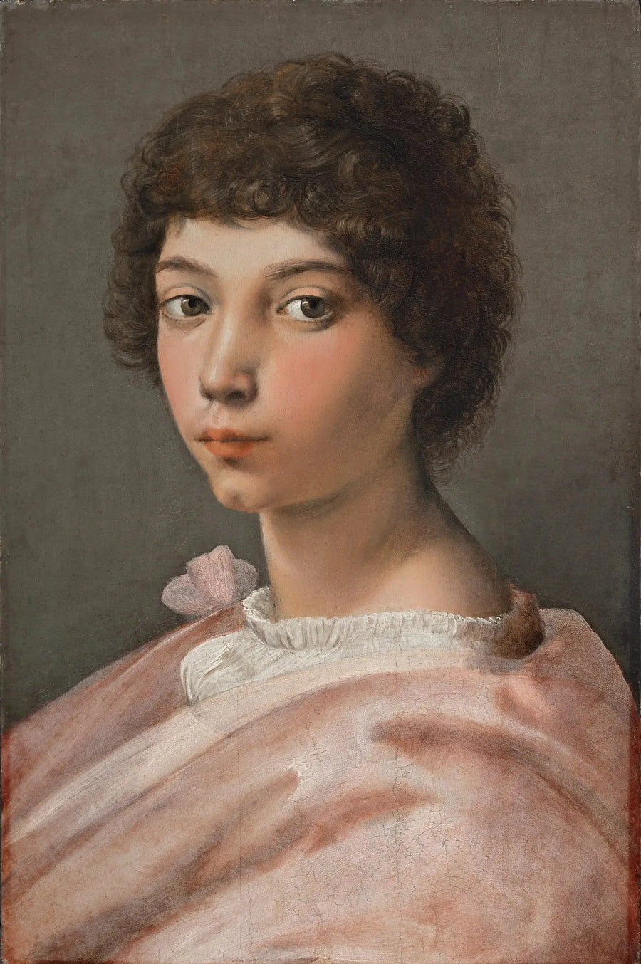 Portret młodego mężczyzny - Rafał Santi