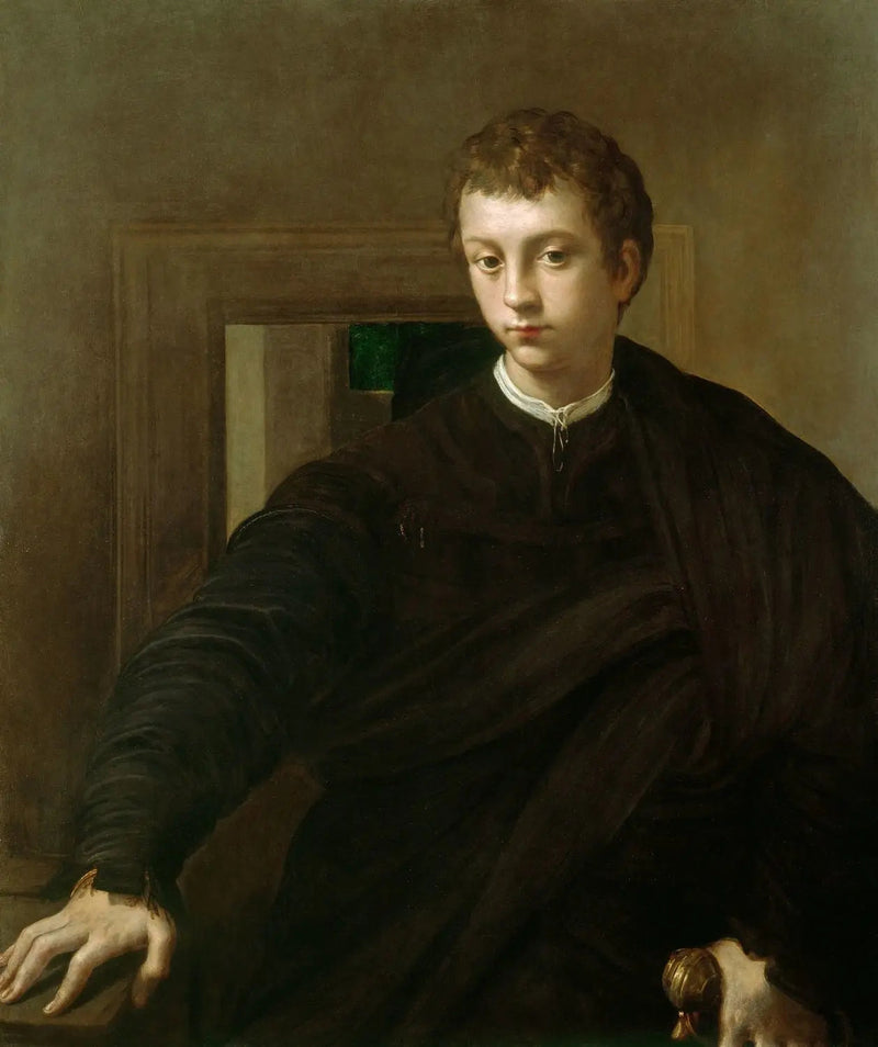 Portret młodego szlachcica - Parmigianino