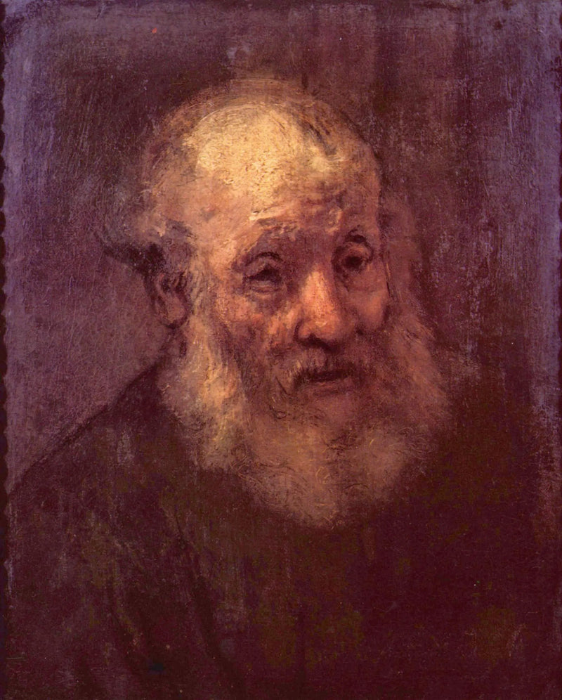 Portret starego brodatego mężczyzny - Rembrandt