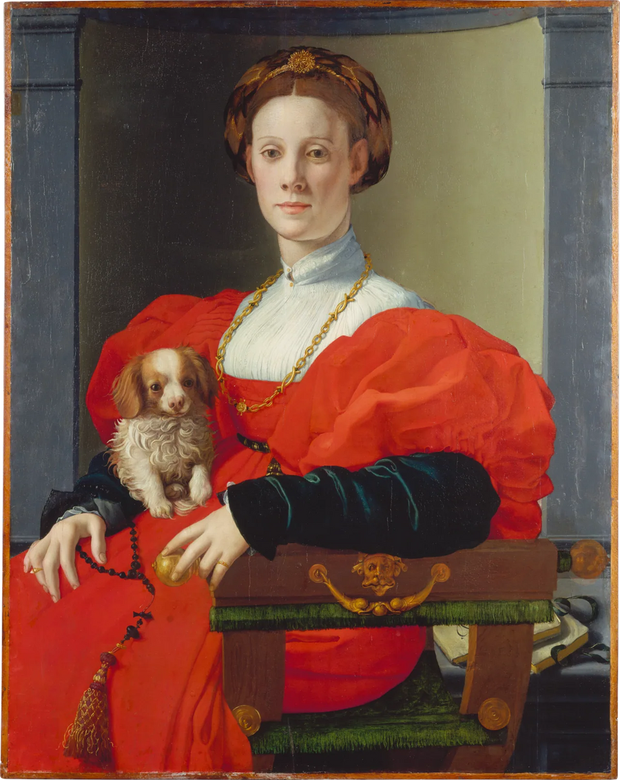 Portret damy z psem domowym - Bronzino