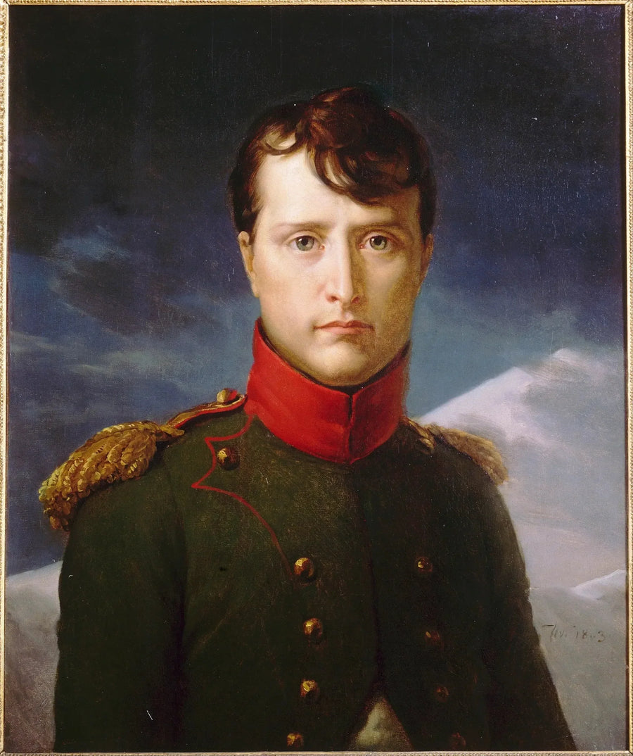 Portret Bonapartego, Pierwszego Konsula - François Gérard