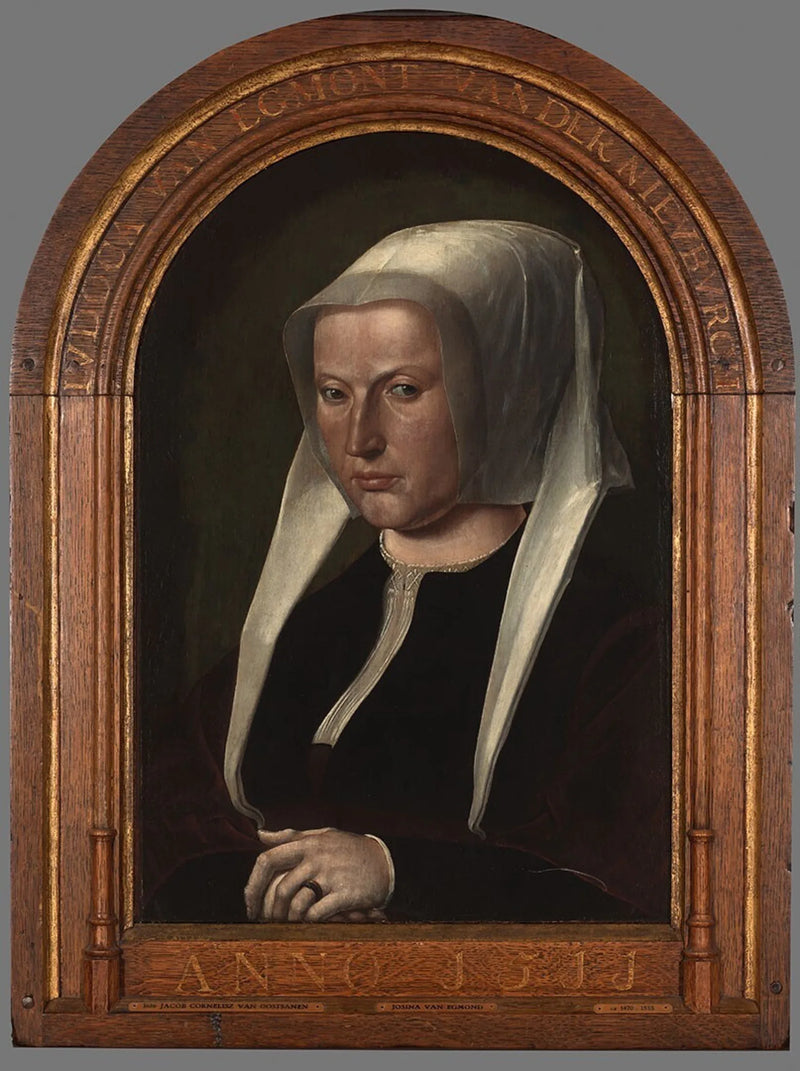 Portret judoki van Egmond van der Nieuburgh - Jacob Cornelisz van Oostsanen