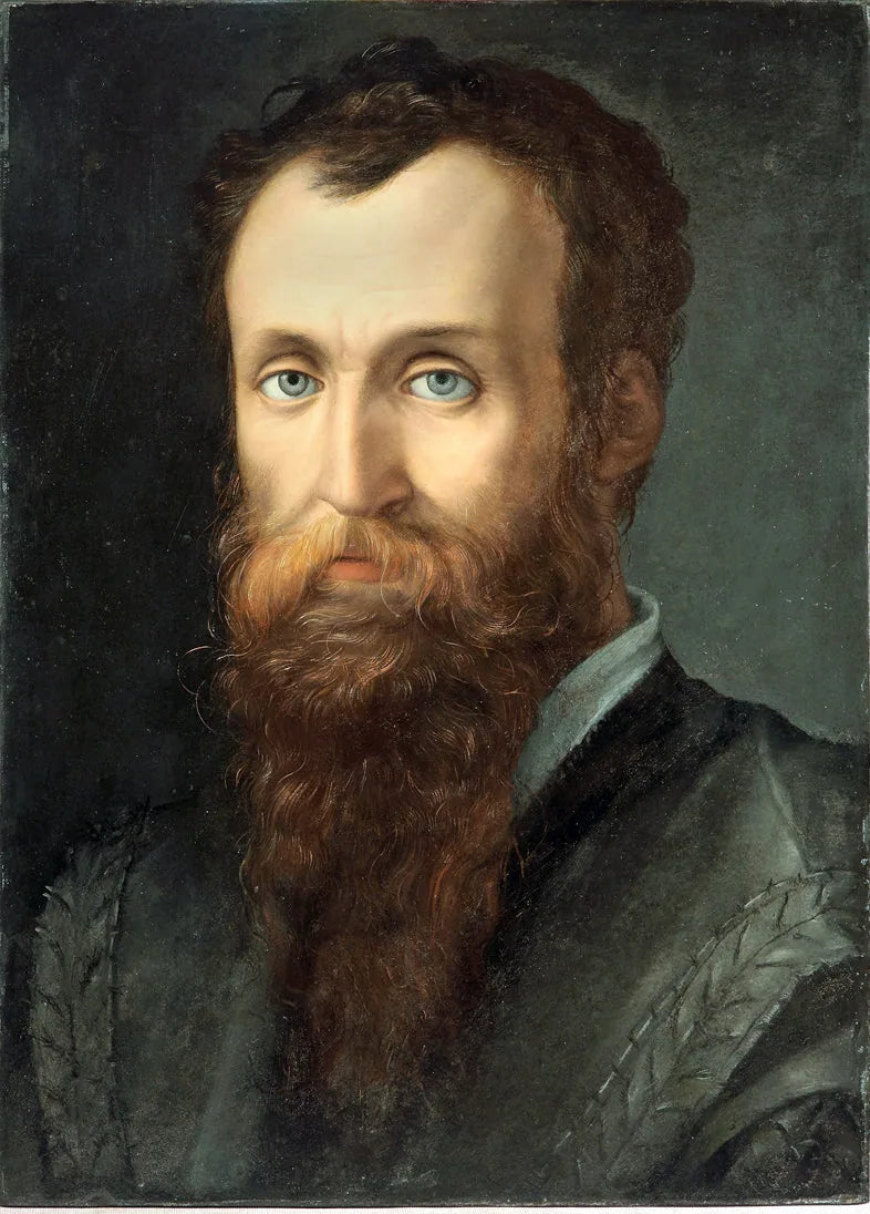 Portret Luca Martini - Bronzino