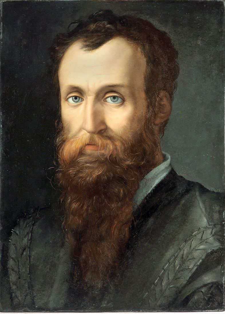 Portrait de Luca Martini - Bronzino - Alpha Reproduction