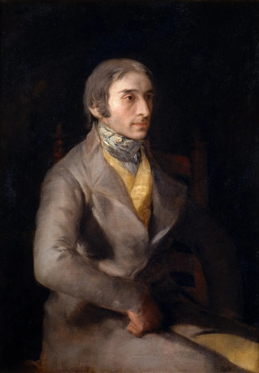 Portret Manuela Silveli - Francisco de Goya