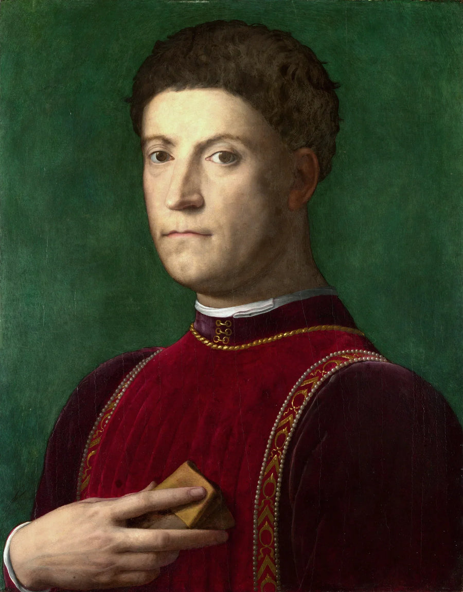 Portret Piero de' Medici - Bronzino