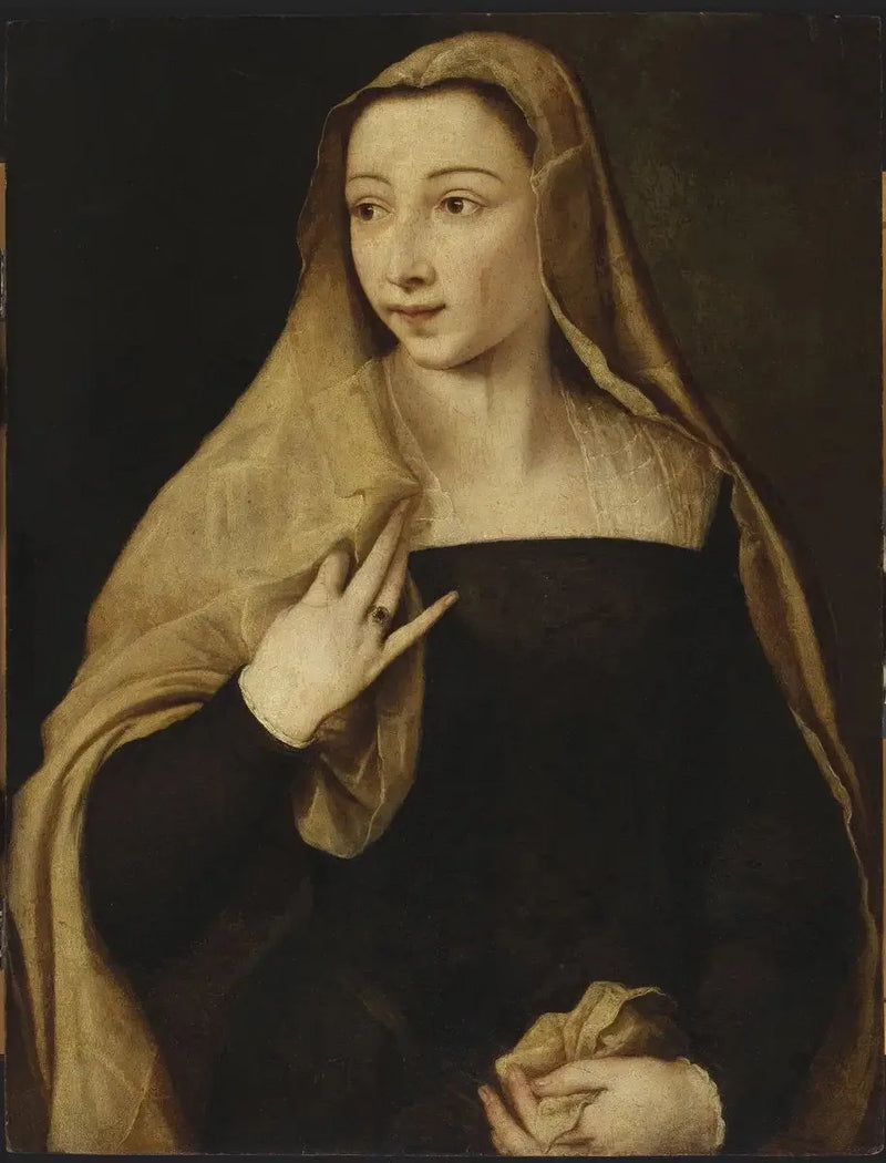 Portret Settimii Jacovacci (?) - Titian