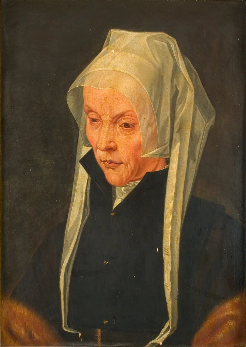 Portrait de Sophia van Amerongen (?-?) - Maarten van Heemskerck