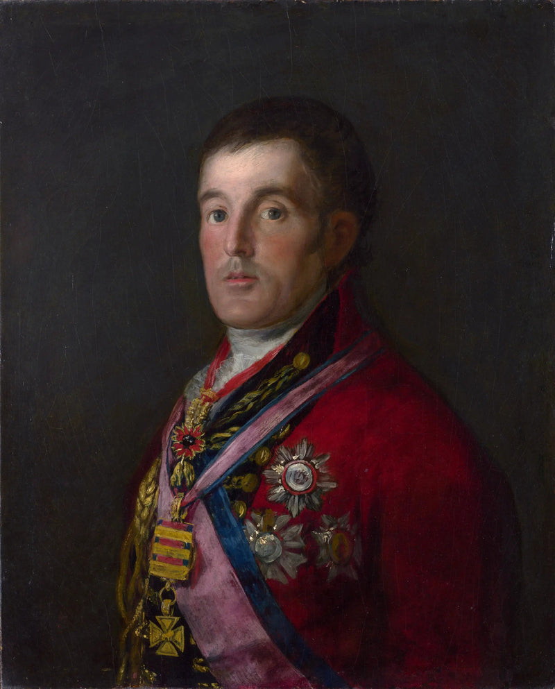 Portret księcia Wellingtona - Francisco de Goya