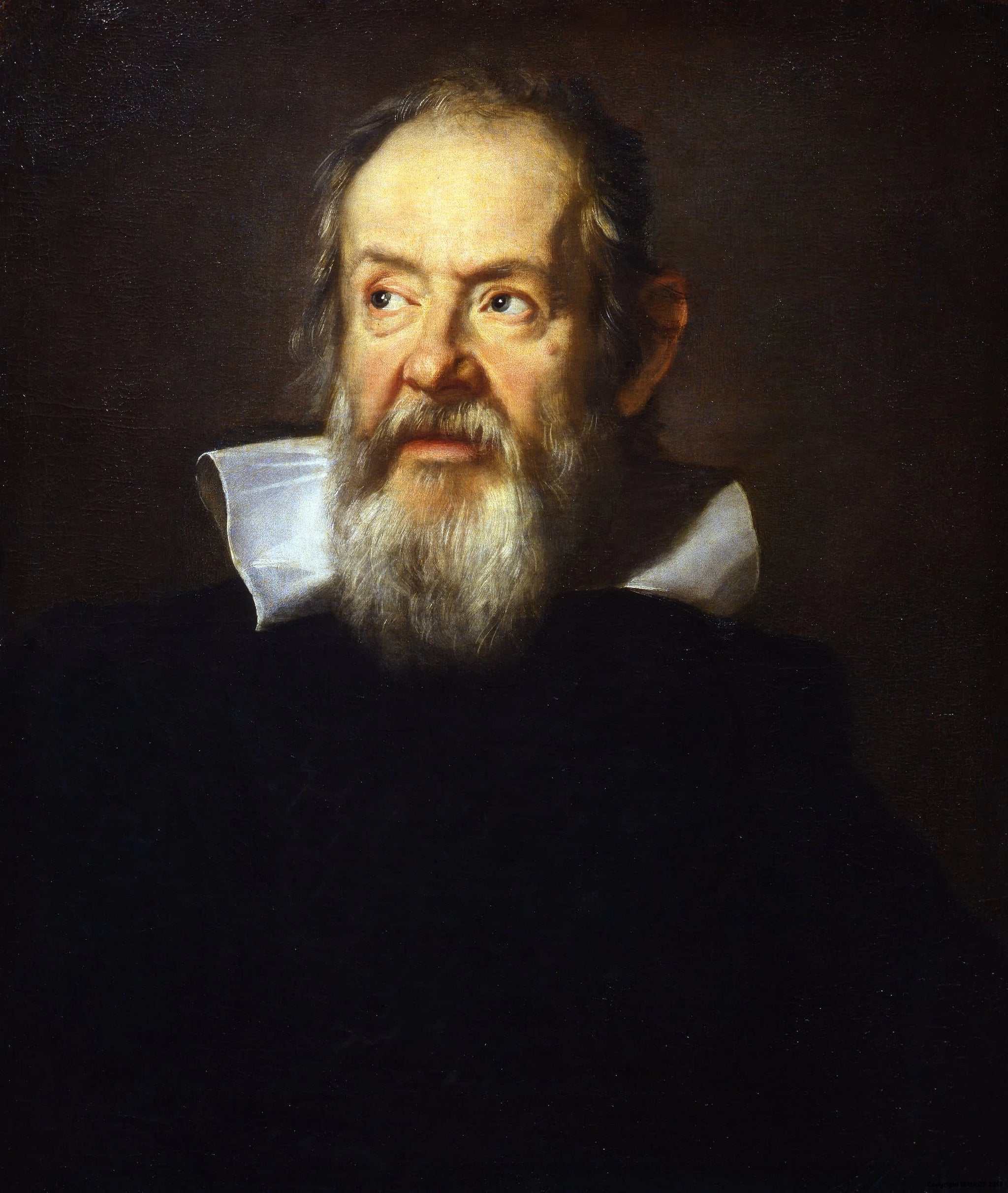 Portrait de Galilée - Justus Sustermans
