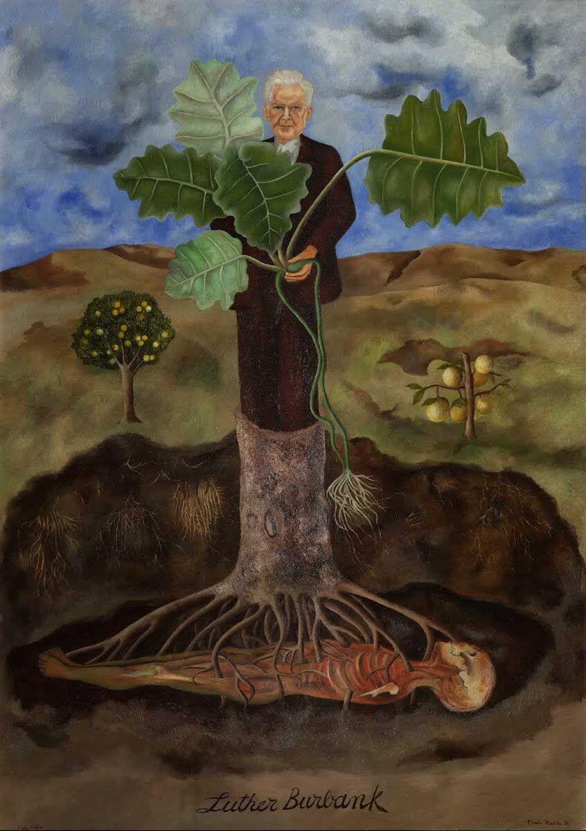 Portrait de Luther Burbank - Frida Kahlo image 1 reproduction de peinture à l’huile