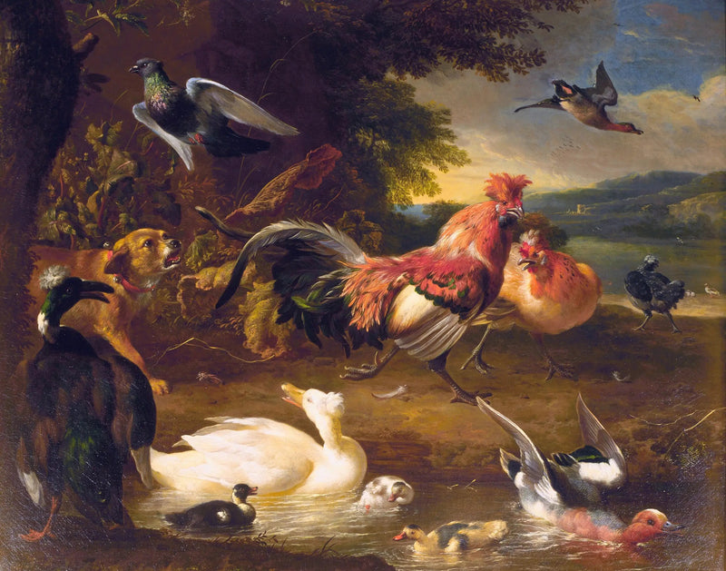 Kury i kaczki - Melchior de Hondecoeter
