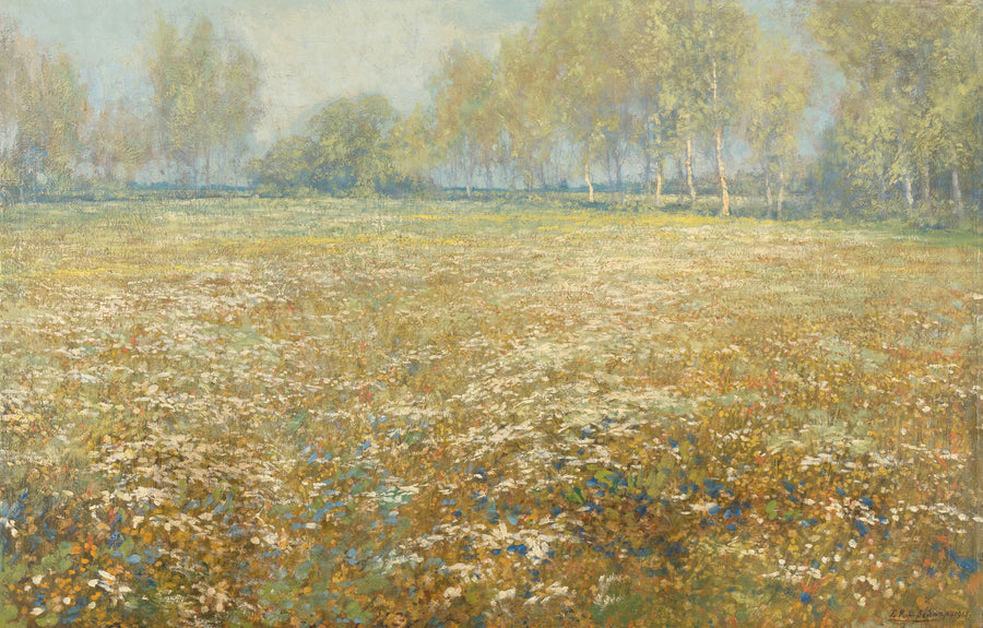 Prairie fleurie - Egbert Rubertus Derk Schaap