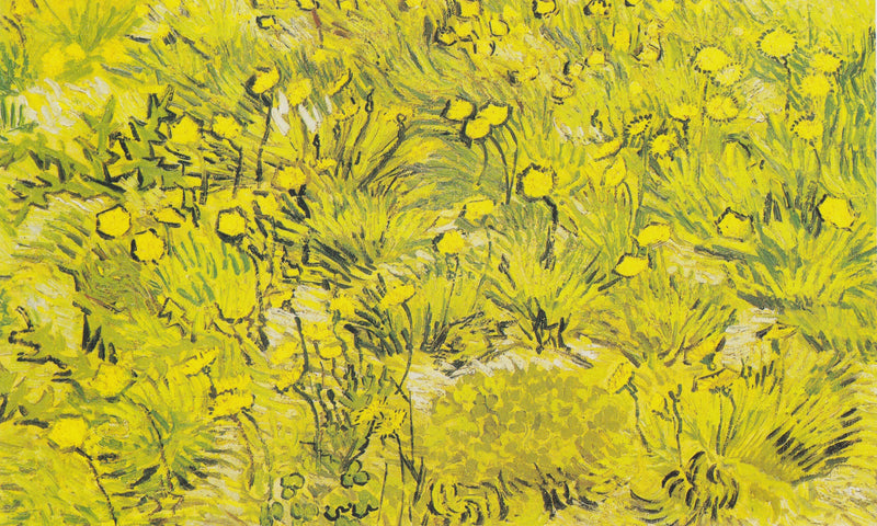 Łąka z żółtymi kwiatami - Vincent van Gogh