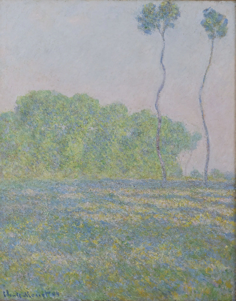Preria w Giverny W1368 - Claude Monet