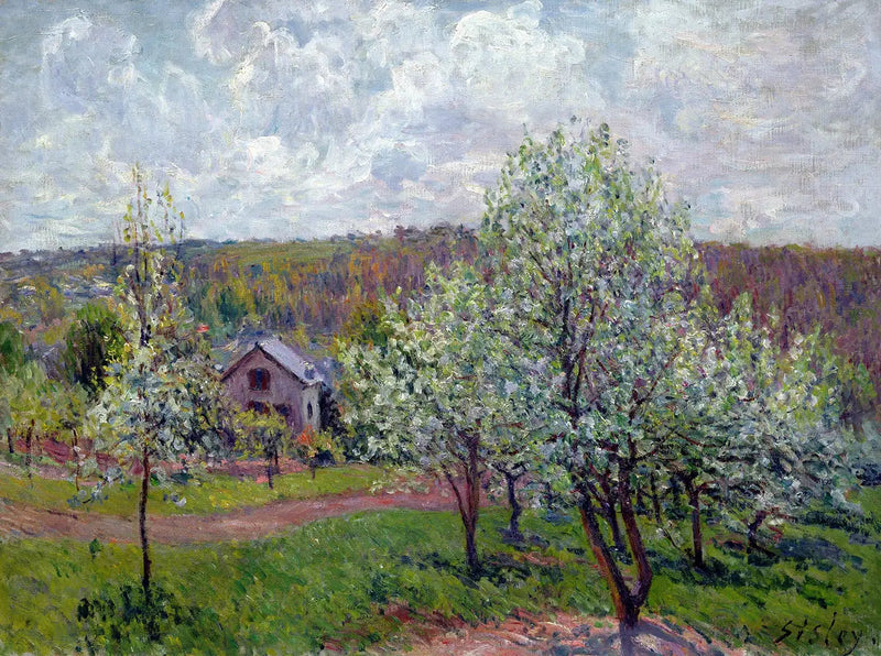 Wiosna w okolicach Paryża. Kwitnące jabłonie - Alfred Sisley