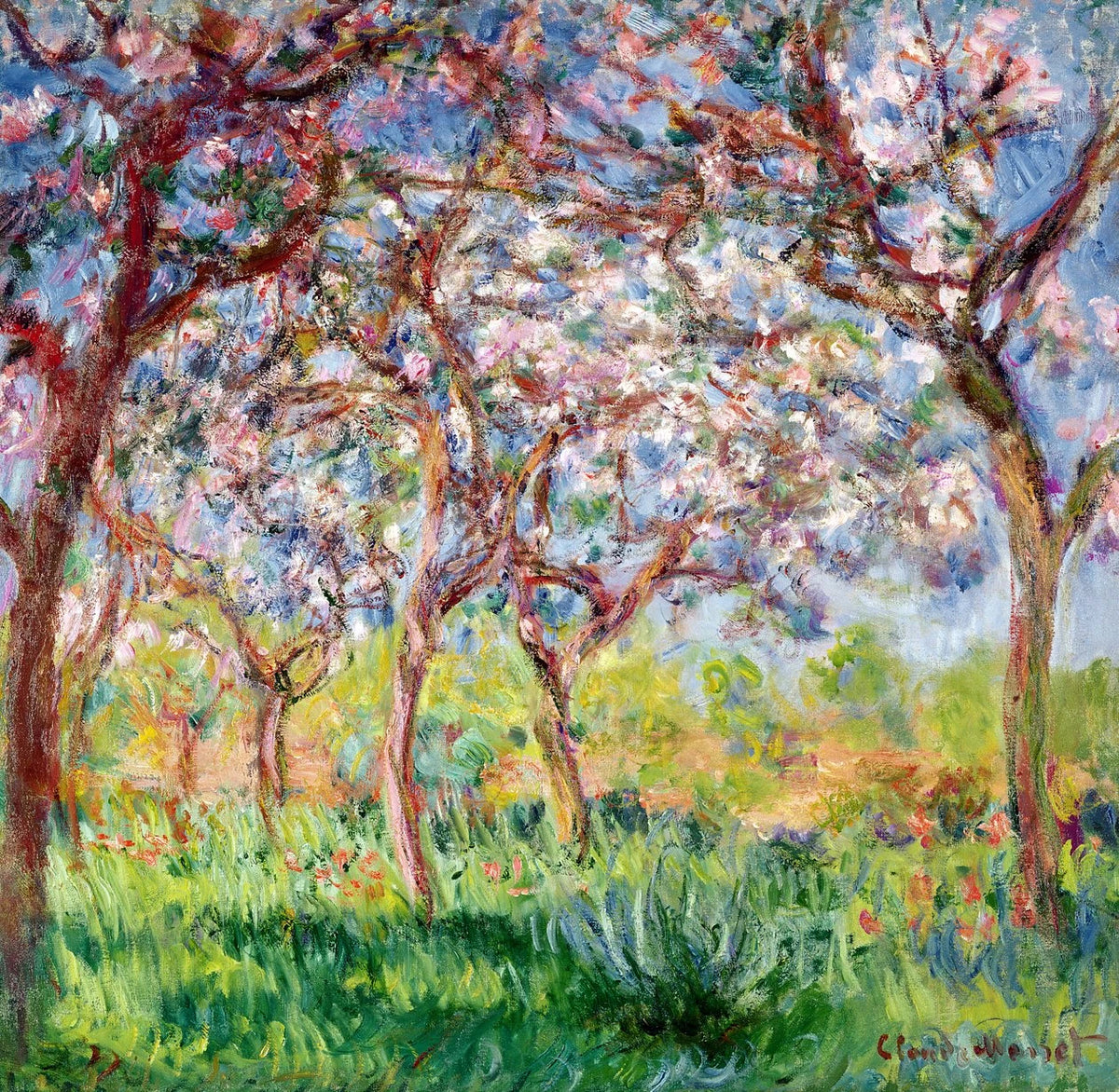Wiosna w Giverny, 1903 - Claude Monet