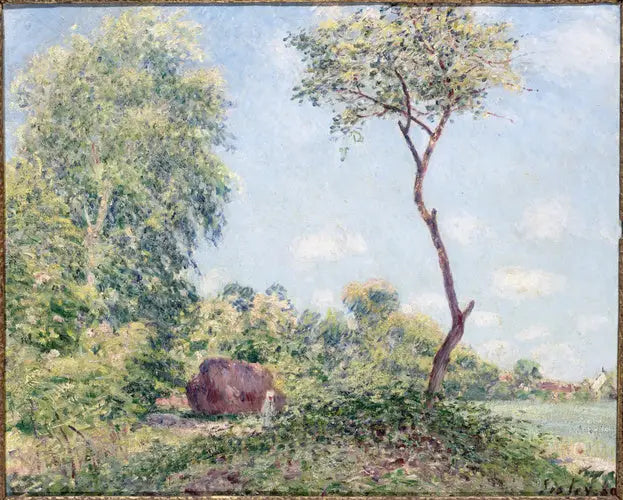 Wiosna, drżące i akacje - Alfred Sisley