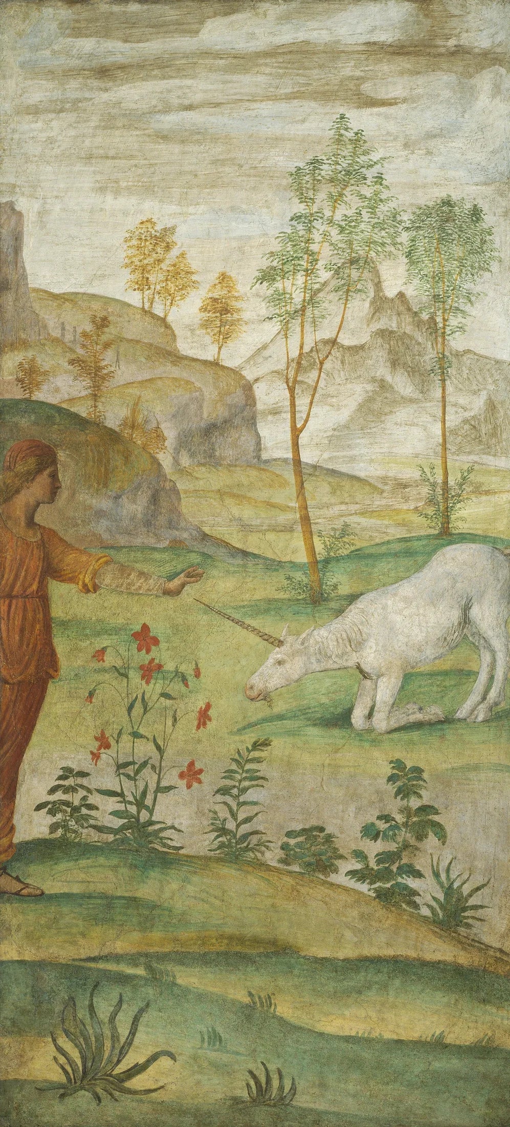 Procris et la Licorne - Bernardino Luini - Alpha Reproduction